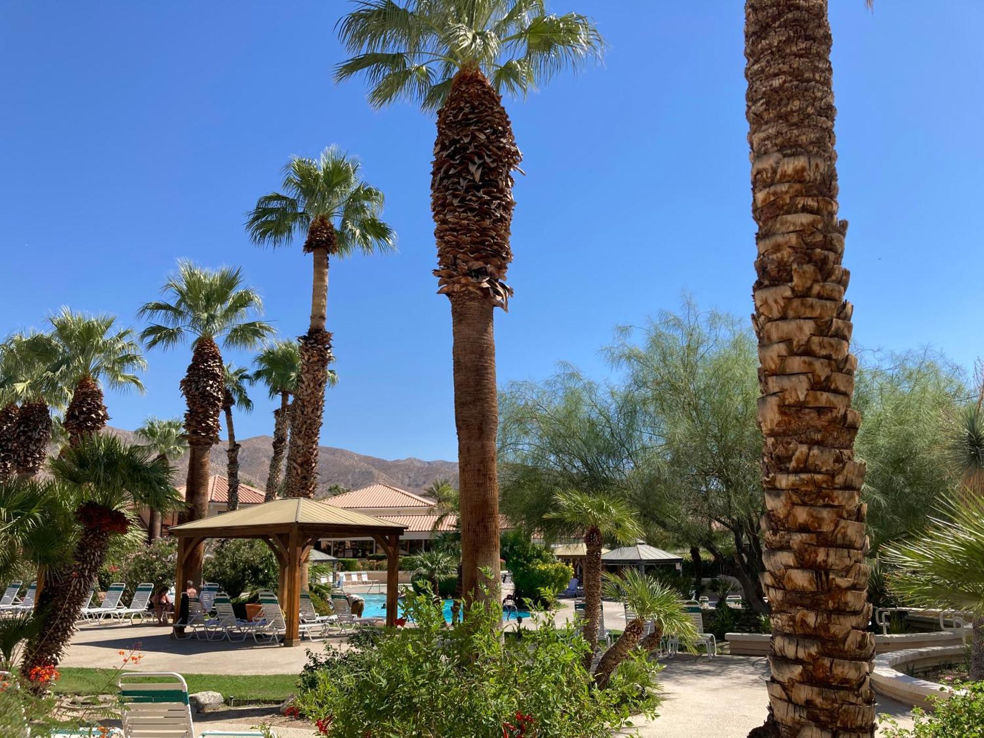 Miracle Springs Resort&Spa Desert Hot Springs Exterior foto